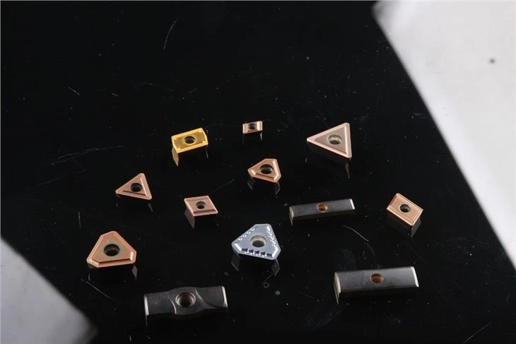 _MG_8598(001)